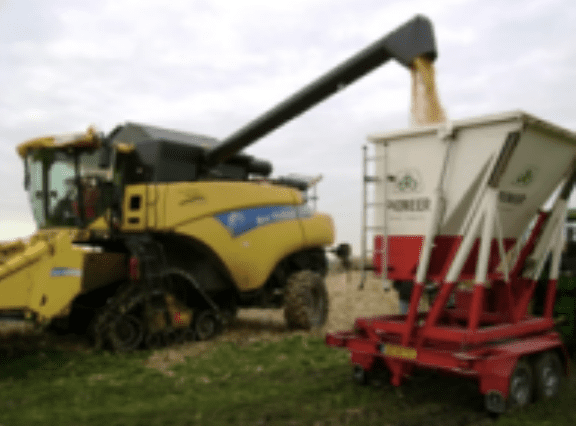 Wat is corn cob mix voor CCM